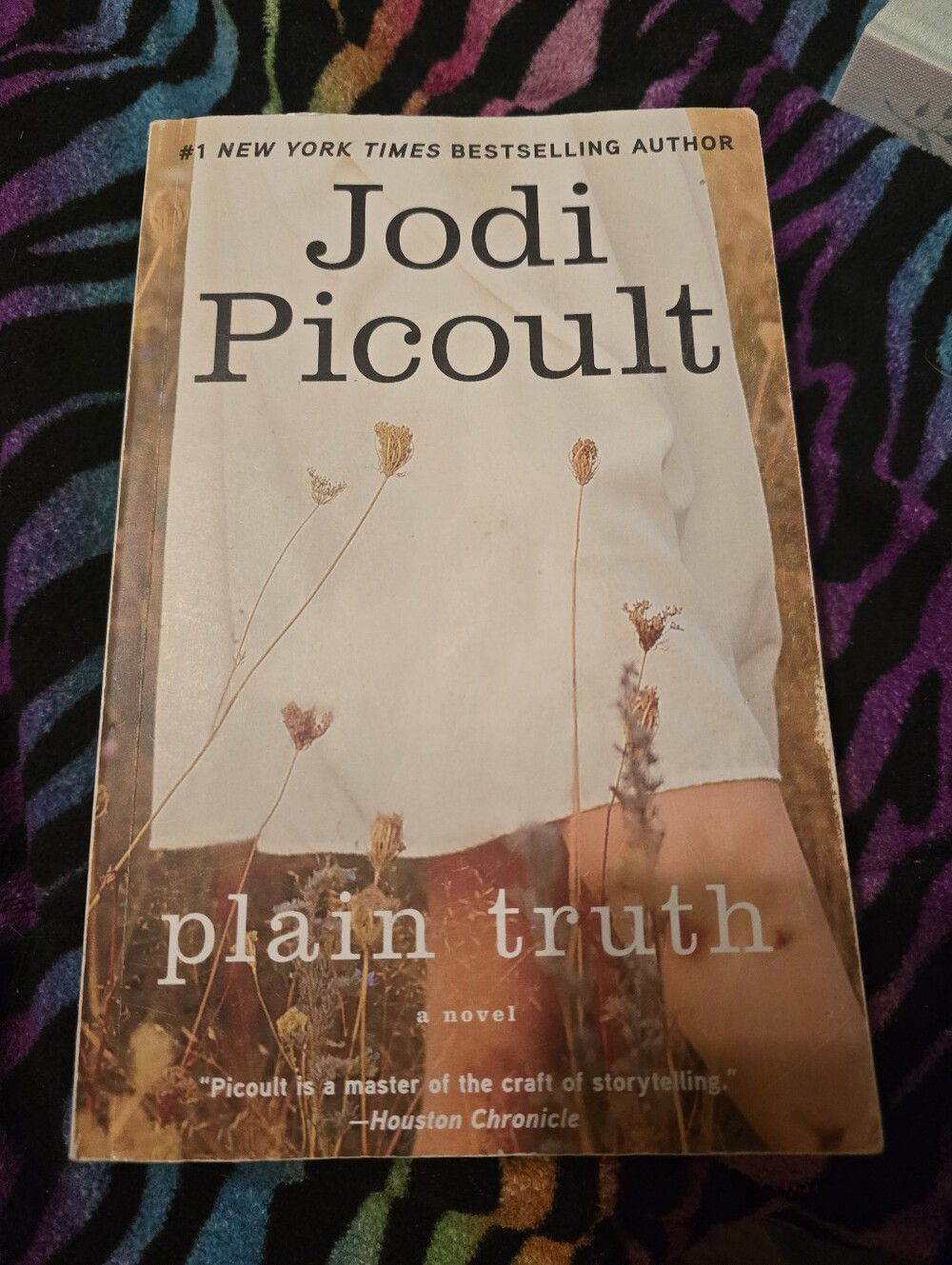 Jodi Picoult "Plain Truth" Paperback Novel - White & Brown Cover
